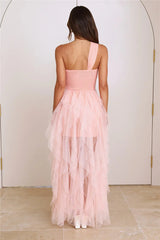 Lavish Style Tulle Maxi Dress Pink