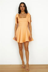 Beach Picnic Mini Dress Orange